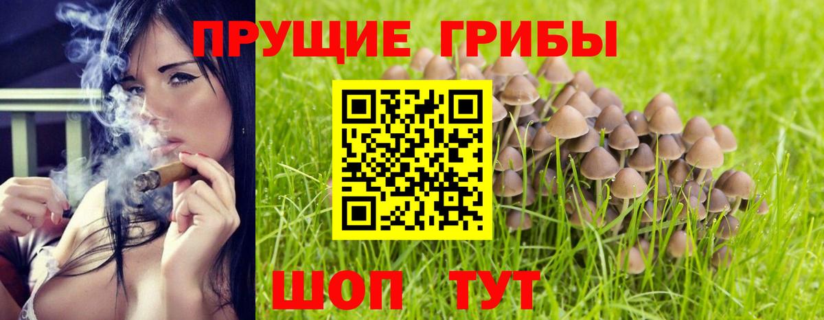 Асбест  Галлюциногенные грибы Magic Shrooms  закладки  Вход с VPN 