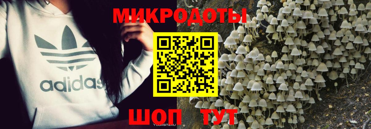 Псилоцибиновые грибы Cubensis Асбест